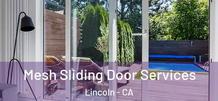 Mesh Sliding Door Services Lincoln - CA